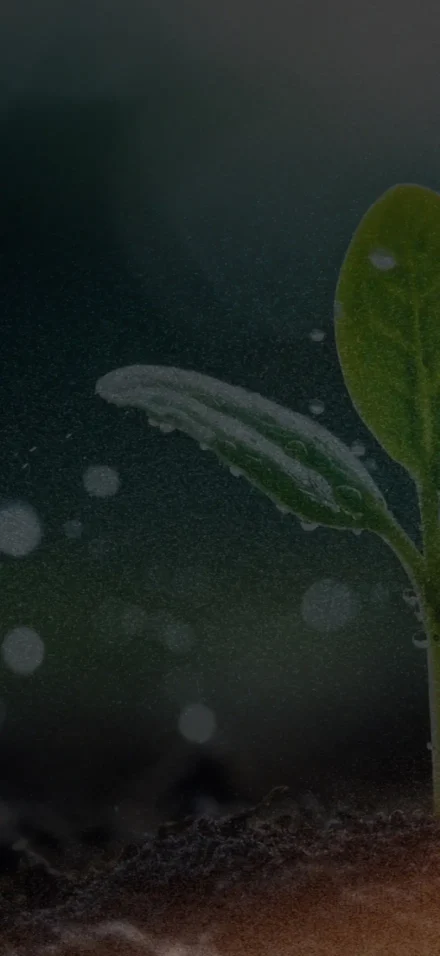 Smart Watering System